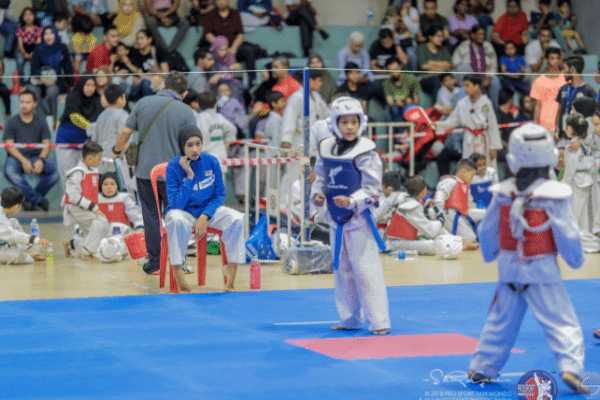 Pro Sport Taekwondo: Mastering Techniques for Ultimate Success