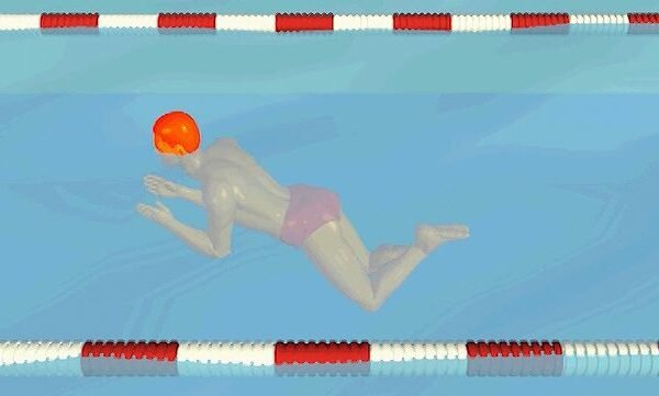 Select the Type of Skill Required in the Following Sport Situation: Swimming Start