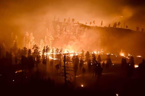 Greer Fire expands to 20,000 acres, more than 700 personnel fighting against the flames