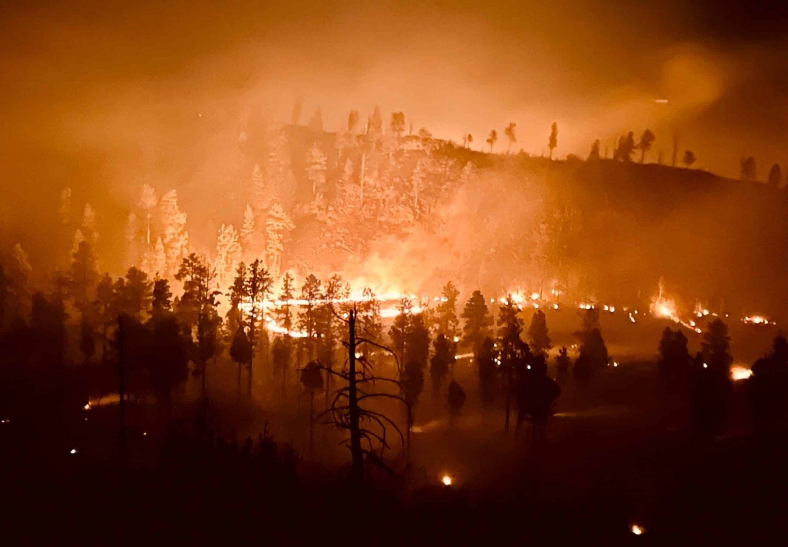 Greer Fire expands to 20,000 acres, more than 700 personnel fighting against the flames