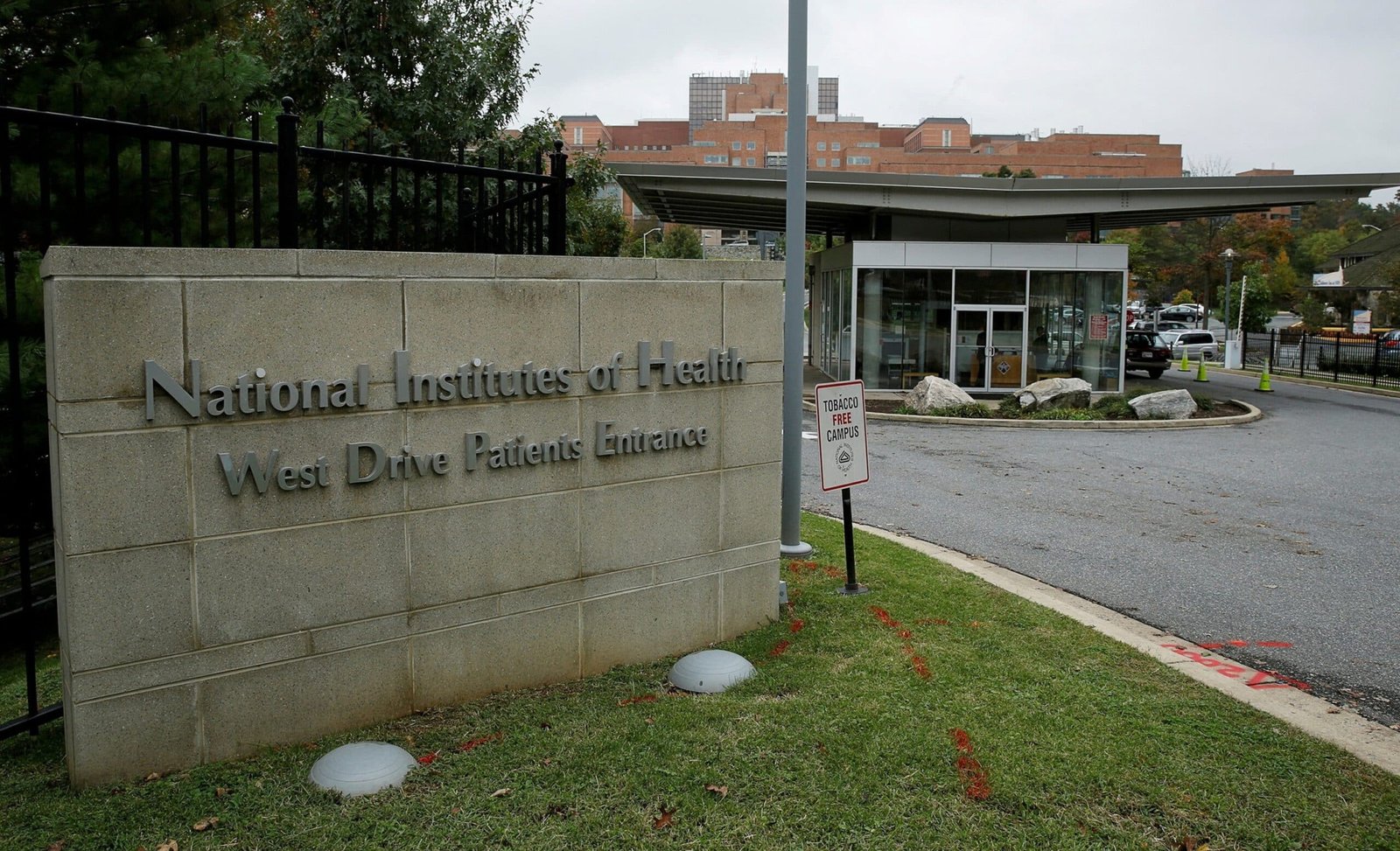 Federal Judge Rules Trump's directives who cancel NIH subsidies are 'null', 'illegal'